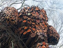 Komunitas ArtWood Bogor Ciptakan Patung Mini dari Ranting Alam